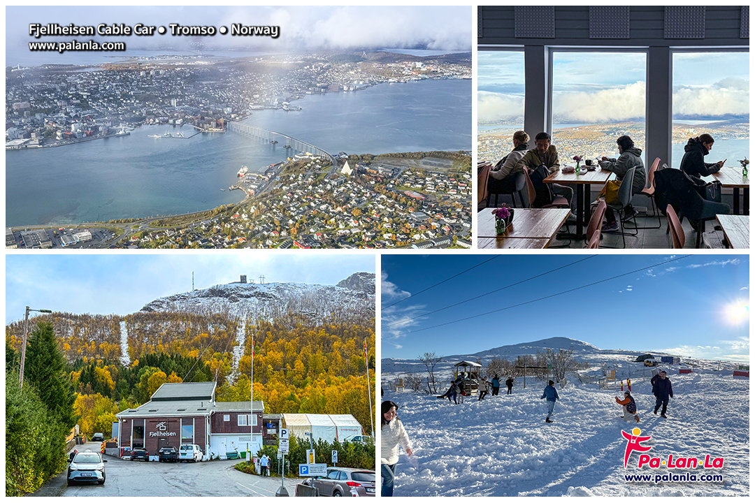 Top 3 Must-Visit Cities from Oslo to Lofoten